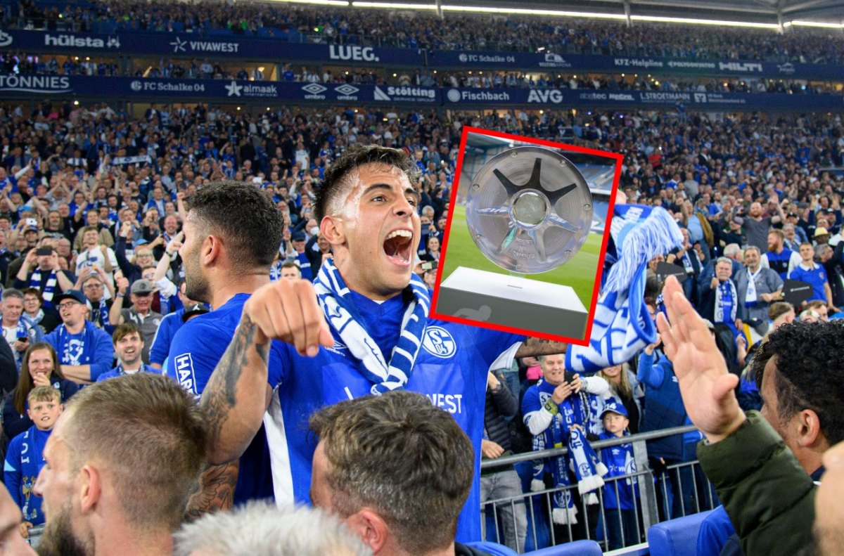 FC Schalke 04 Meister.jpg