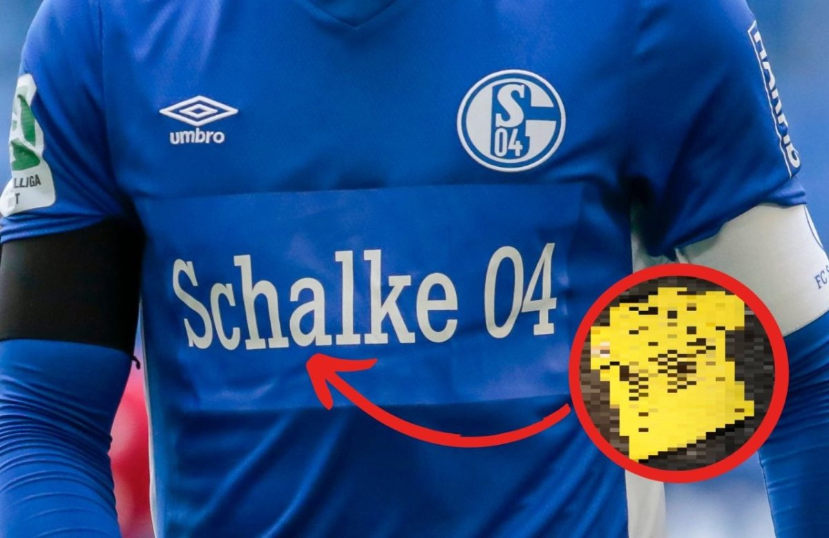 FC Schalke 04 Sponsor.jpg