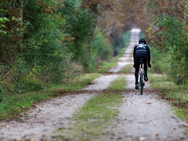 Fahrradtour Wald.jpg