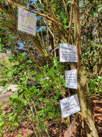 In Mülheim hängen neuerdings bunte Zettel an den Bäumen, zur Begeisterung der Mülheimer. 