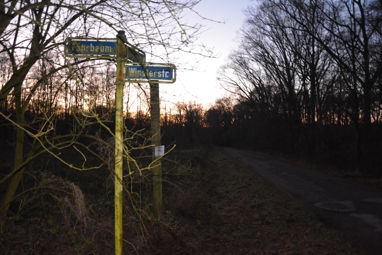 In diesem Bereich werden immer wieder Giftköder gefunden. Das Waldstück ist beliebt bei Hundebesitzern.