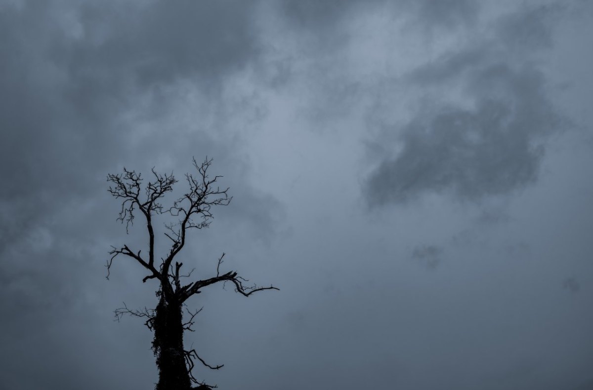 Halloween Sturm Wetter.jpg