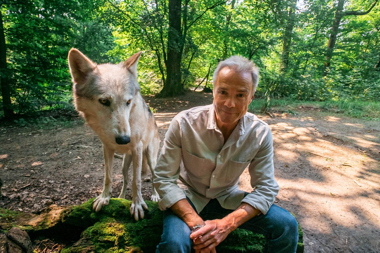 Hannes Jaenicke im Einsatz für den Wolf.