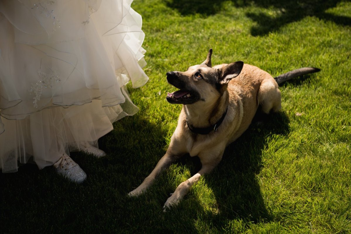 Hochzeit.jpg