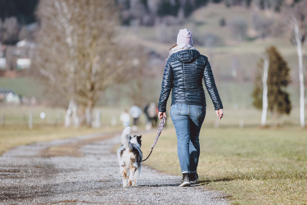 Kennst du den geheimen Code unter Hundebesitzern?