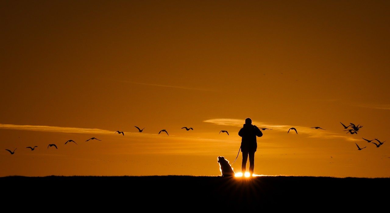 Ein Mann und sein Hund machen alles zusammen – selbst von einer Klippe springen! (Symbolbild)