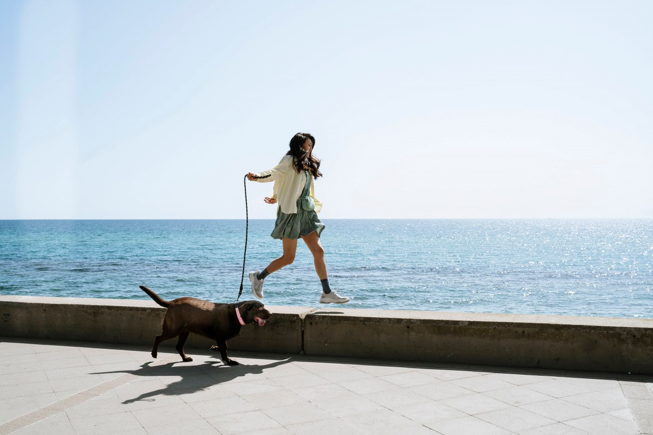 Eine Frau ist mit ihrem Hund Gassi gegangen. Es endet in einem Albtraum. (Symbolfoto)