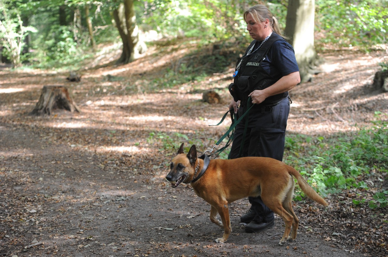 Auch die Polizeihunde konnten die Tatwaffe nicht aufspüren.