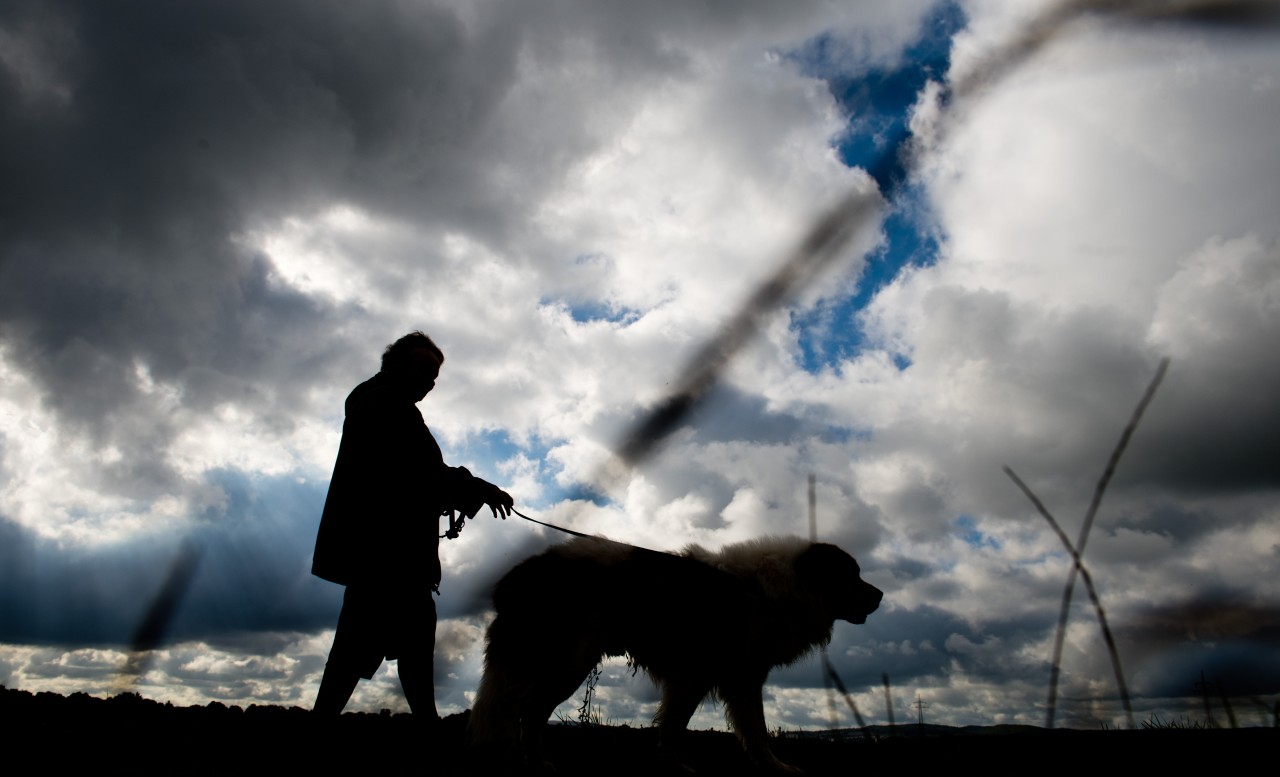 Als eine Frau mit ihrem Hund in Duisburg unterwegs ist, erlebt sie eine Schock. (Symbolbild)