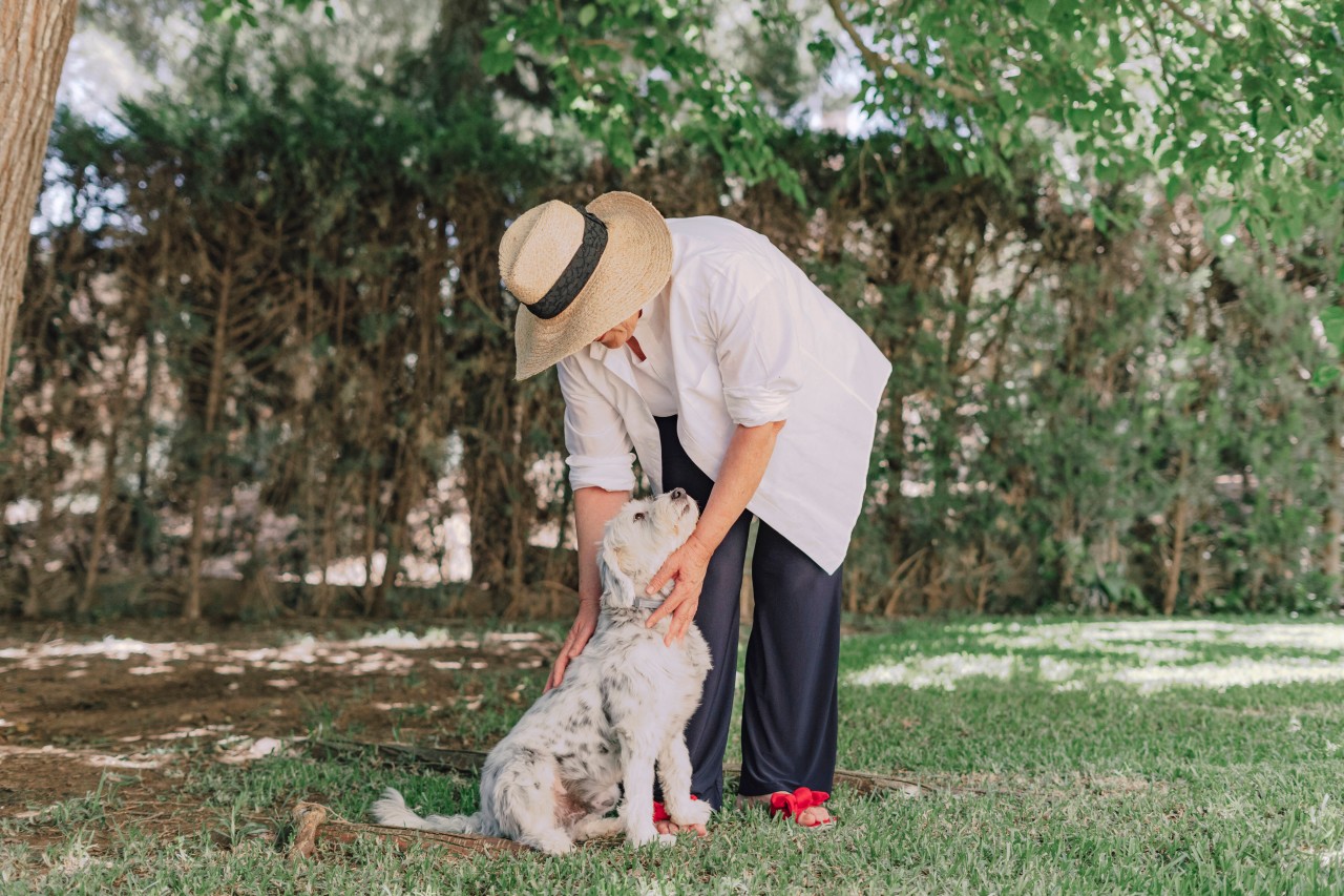 Erst war der Hund einer Frau doch noch direkt bei ihr – dann verschwand er spurlos im Garten. (Symbolfoto)