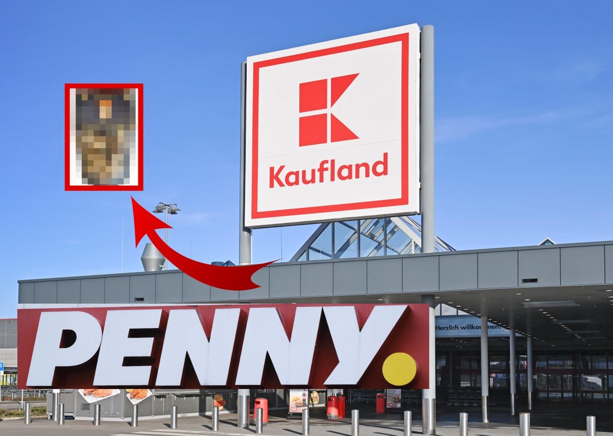 Kaulfand-Penny-Discounter.jpg