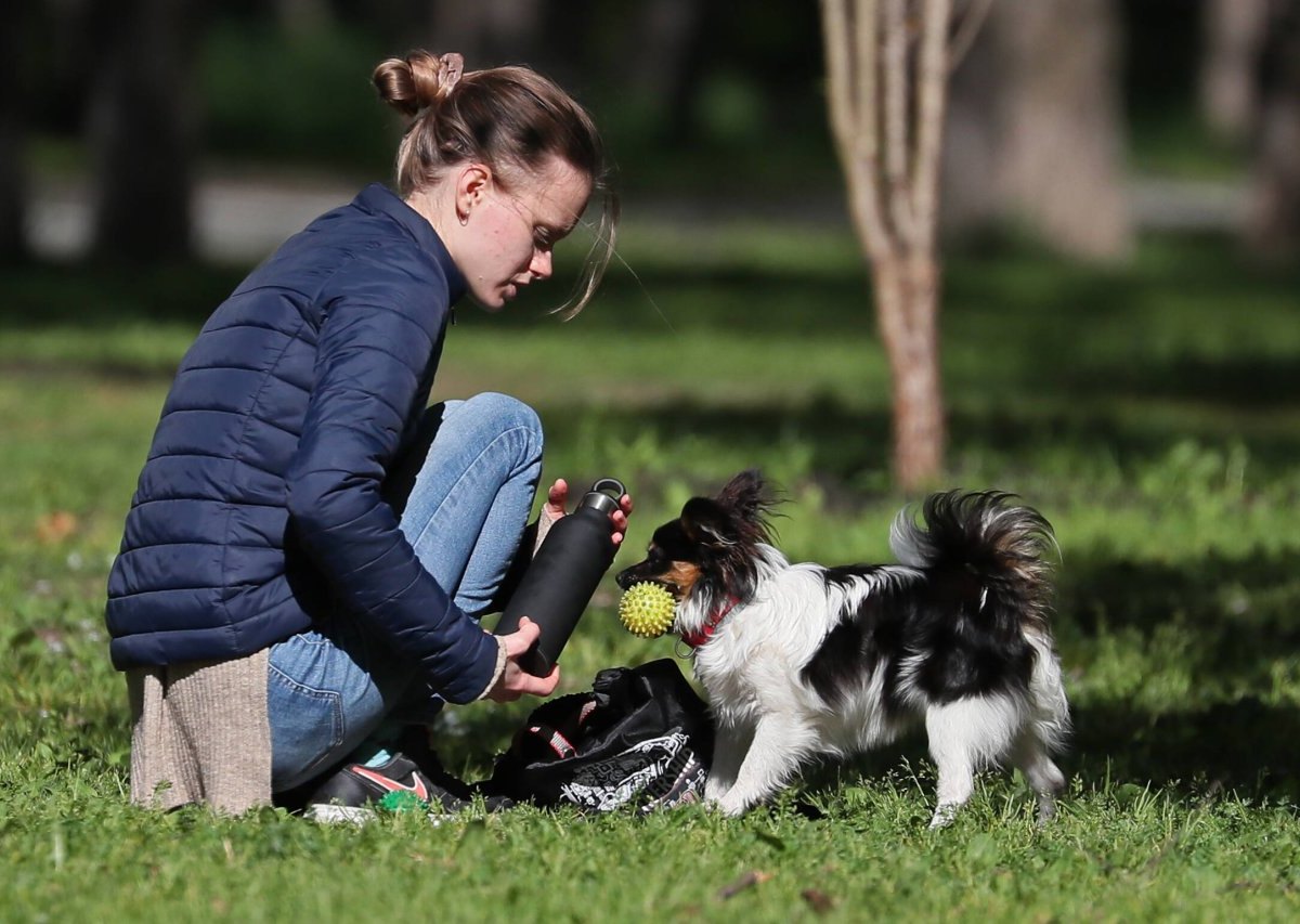 Mädchen mit Hund.jpg