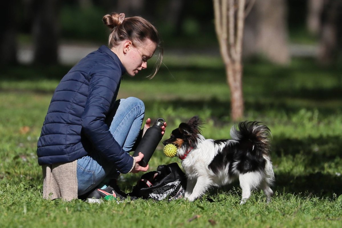 Mädchen mit Hund.jpg