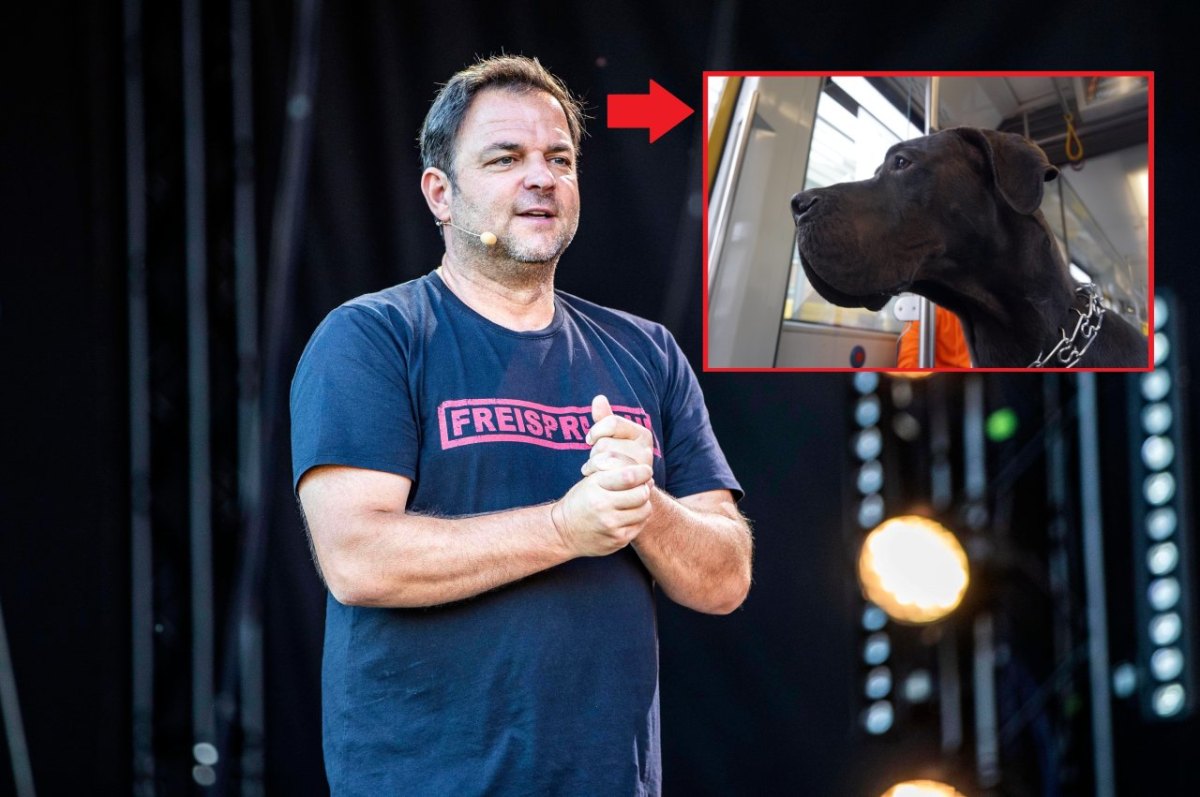 Martin Rütter.jpg