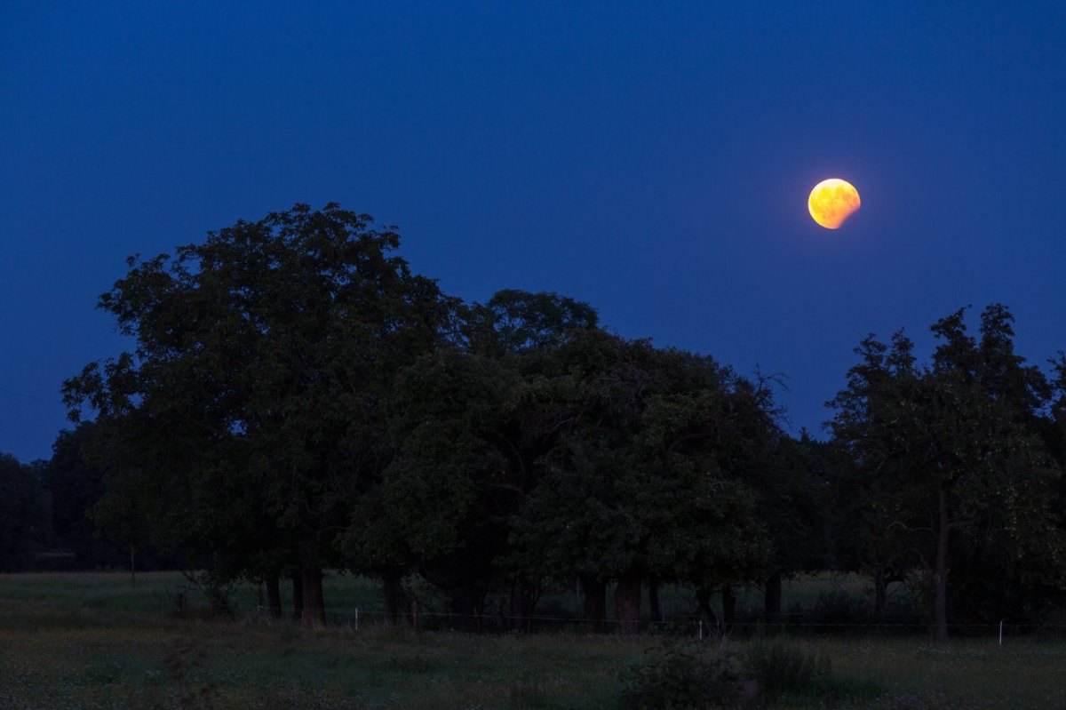 Mondfinsternis.jpg