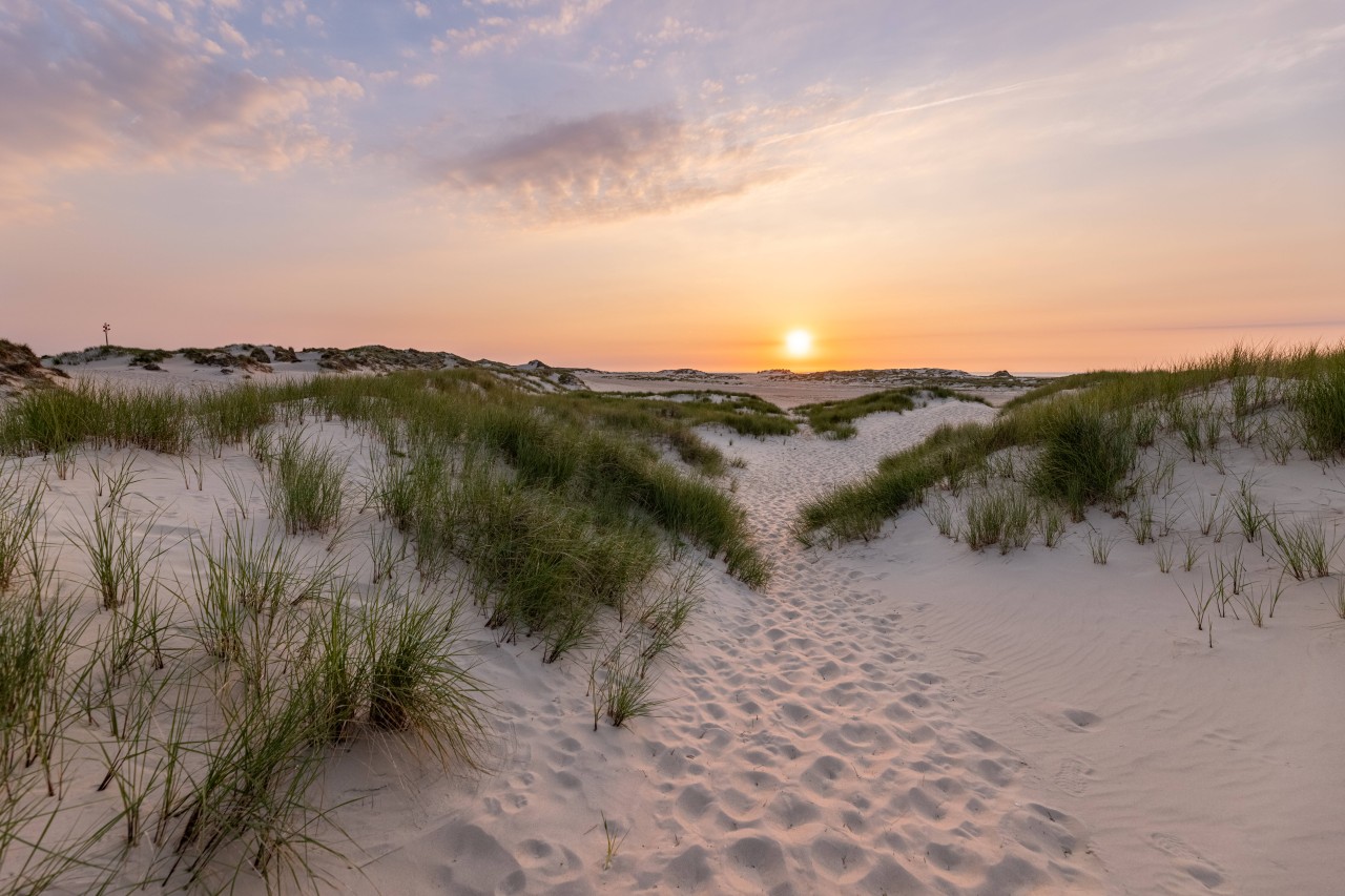 Urlaub an der Nordsee: Eine schwer kranke Frau aus NRW konnte ihren letzten Wunsch in Norderney wahr werden lassen. 