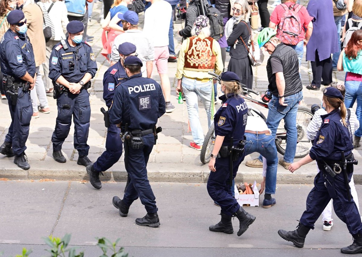 Österreich Demo.jpg