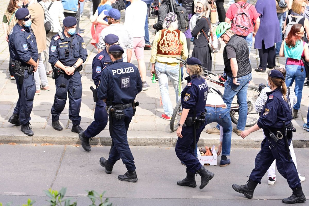 Österreich Demo.jpg