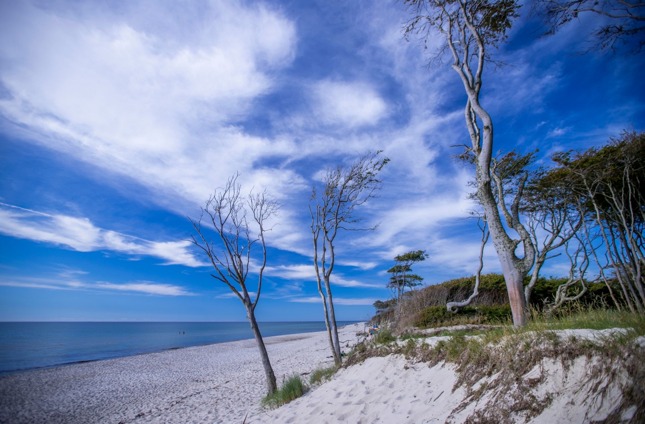 Urlaub an der Ostsee: Die friedlich Idylle wird durch eine fiese Aktion gestört. (Symbolbild)