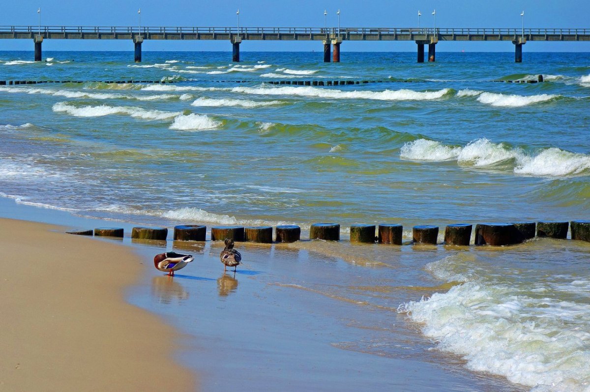 Ostsee Usedom