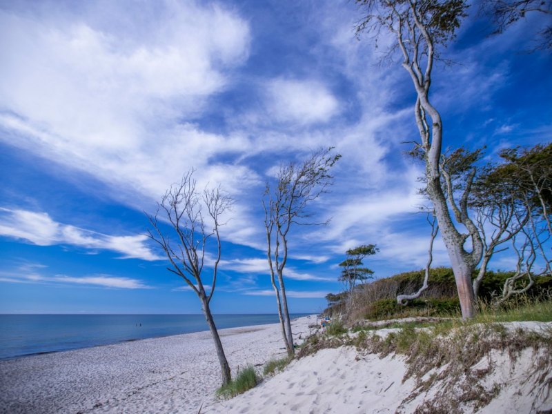 Ostsee urlaub an der