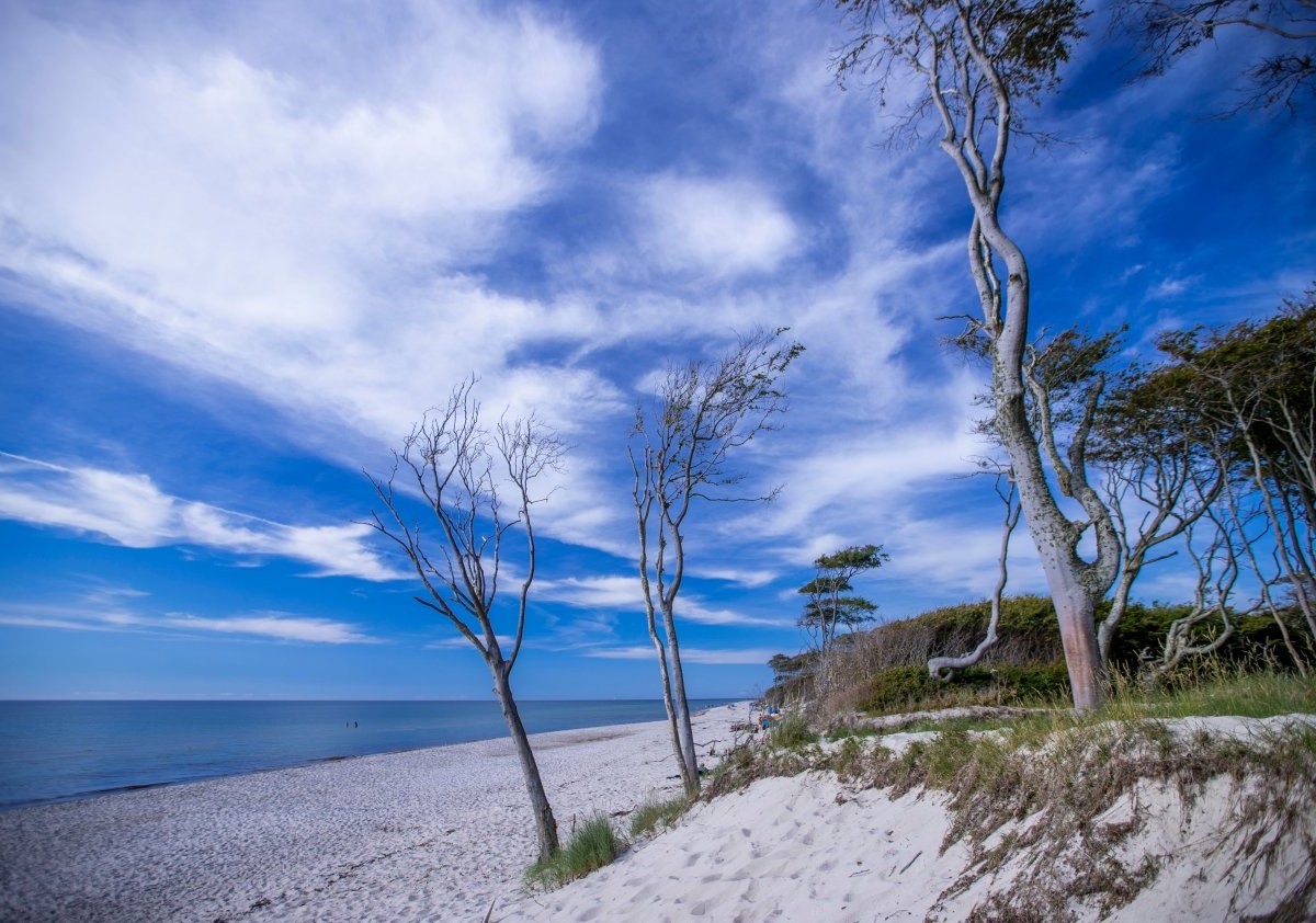 Ostsee urlaub an der