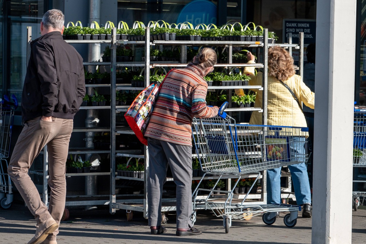 Blumenkaufen bei Aldi? Eine Kundin hat schlechte Erfahrung gemacht. (Symbolbild)