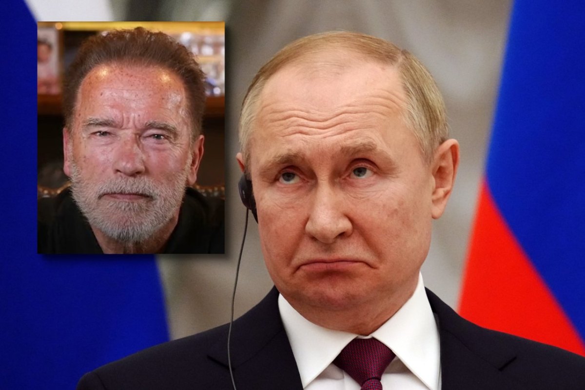 Putin Schwarzenegger