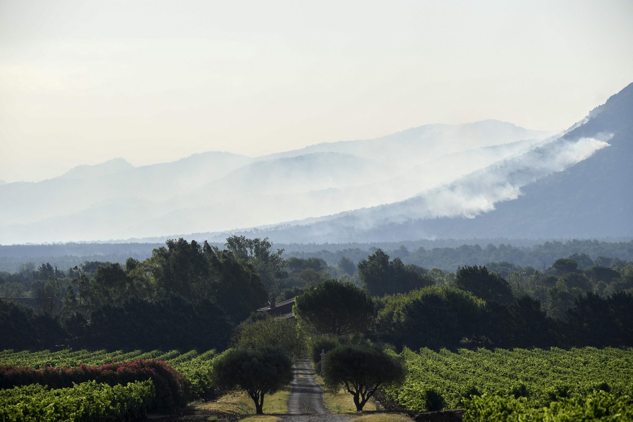 Tausende Menschen mussten evakuiert werden, als in der Nähe von Saint-Tropez ein Flächenbrand wütete.