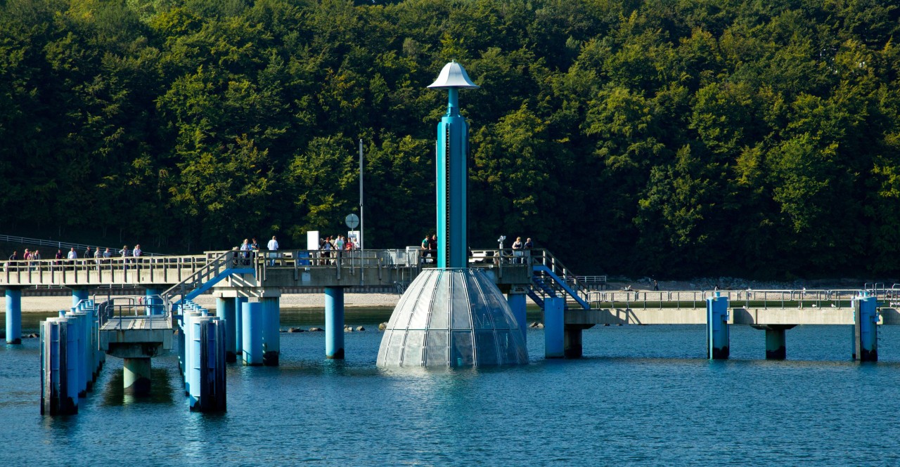 Rücken: Blick auf die Seebrücke bei Sellin.