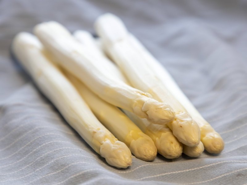 Spargel Symbolbild.jpg
