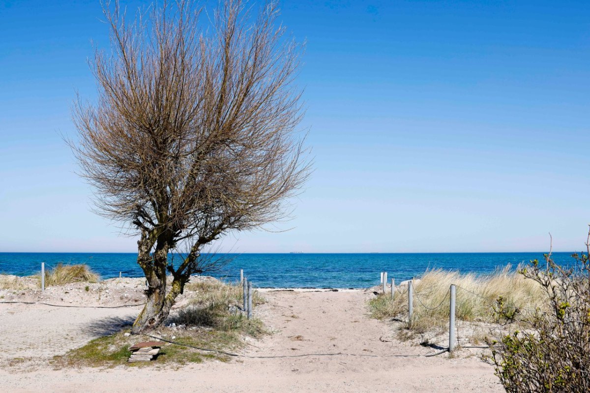 Strand Fehmarn