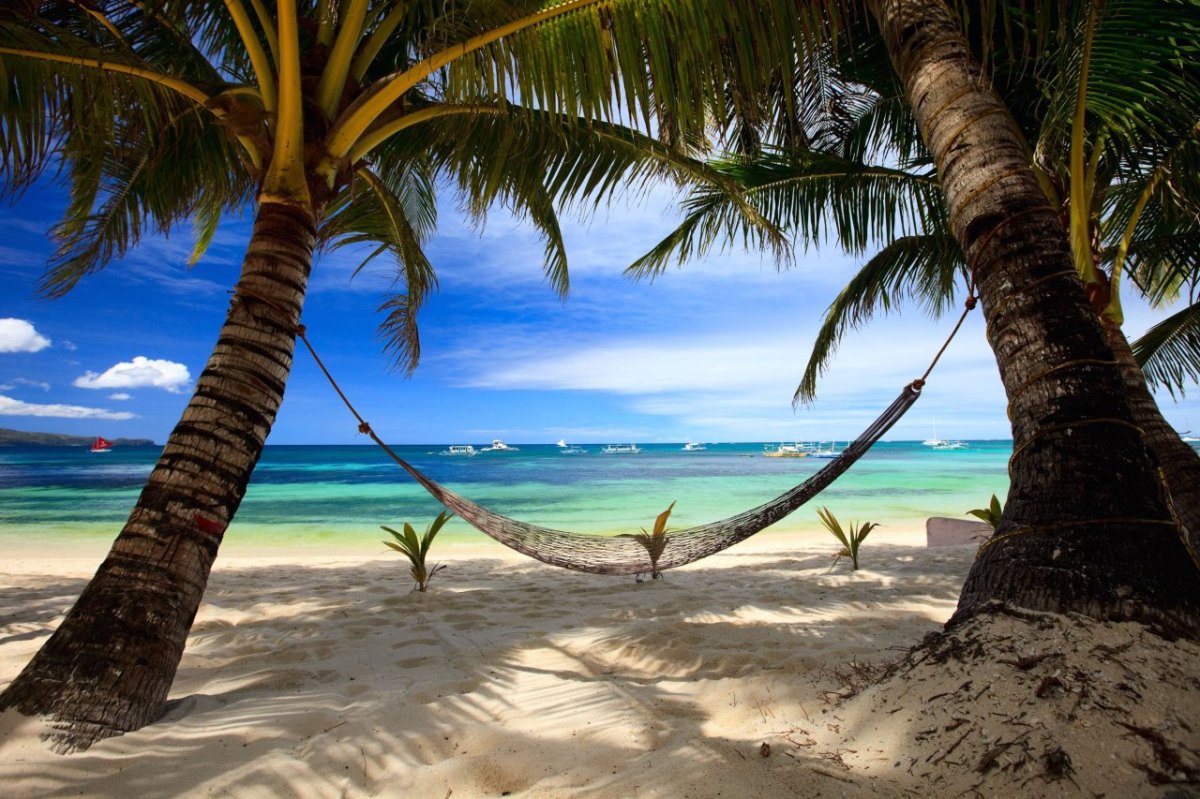 Strand urlaub palmen meer.jpg