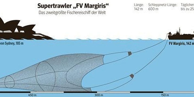 Super Trawler Margiris Fischerboot--656x240.jpg
