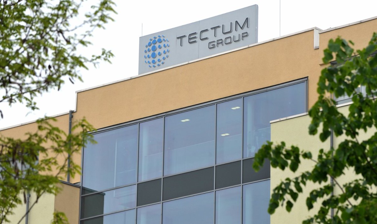 Tectum.jpg