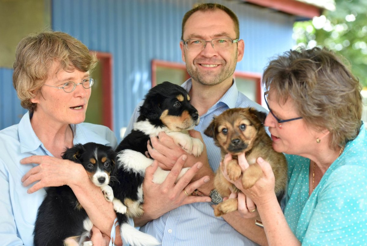 Tierheim Duisburg Hundewelpen.jpg