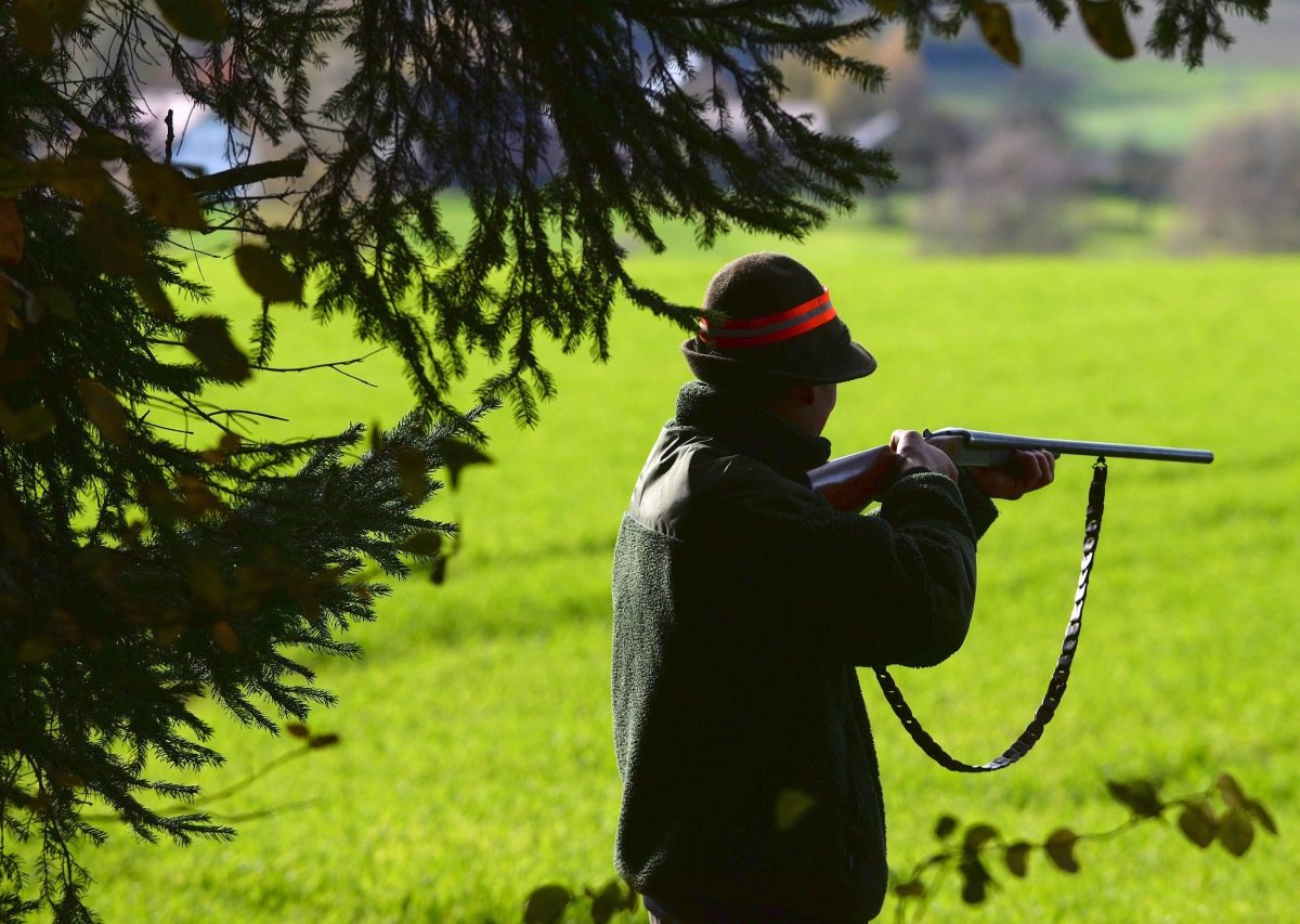 Treibjagd durch den Wald.jpg