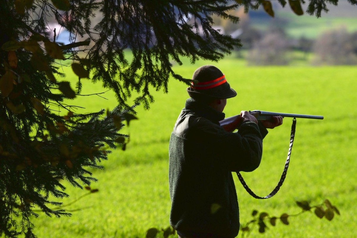 Treibjagd durch den Wald.jpg