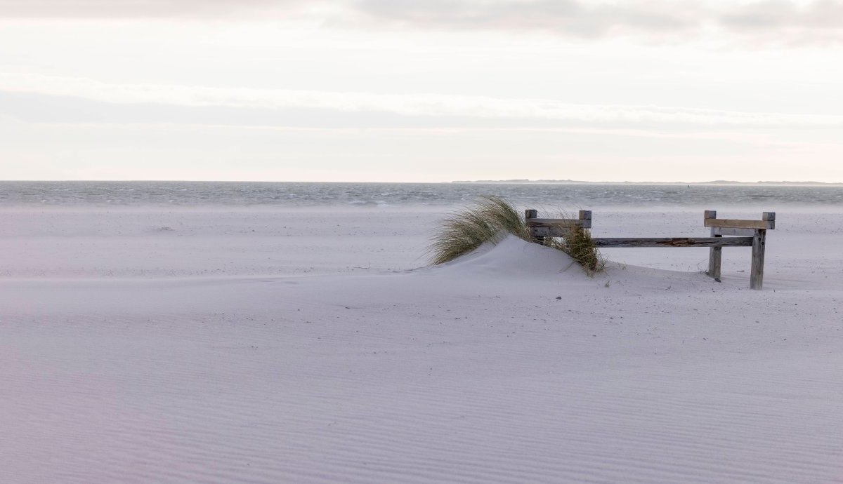 Urlaub-an-der-Nordsee.jpg