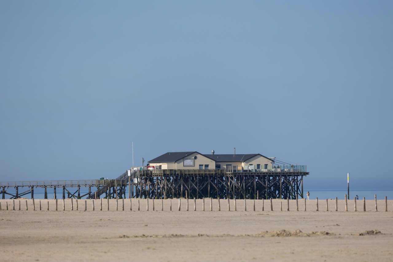 Urlaub an der Nordsee: Bei diesen Tieren heißt es: Vorsichtig sein. 