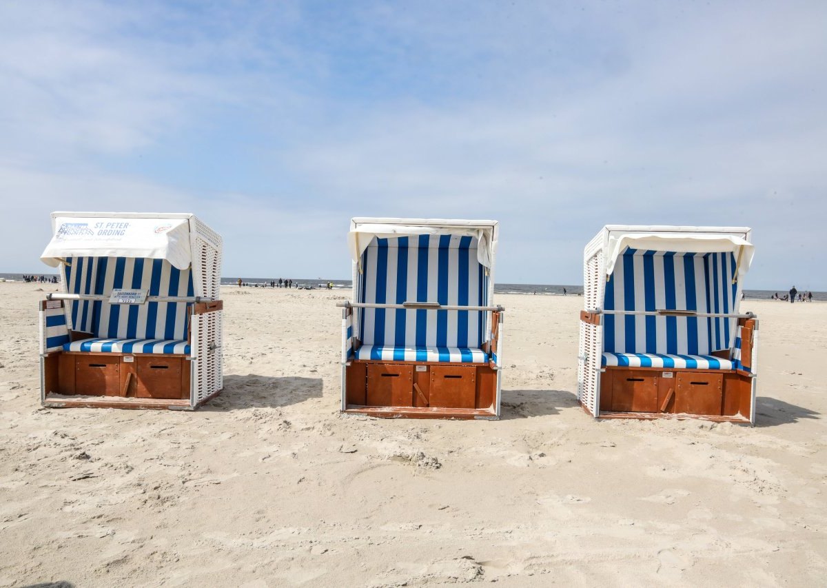 Urlaub an der Nordsee: Mit Hund ins Wasser? Besser aufpassen!