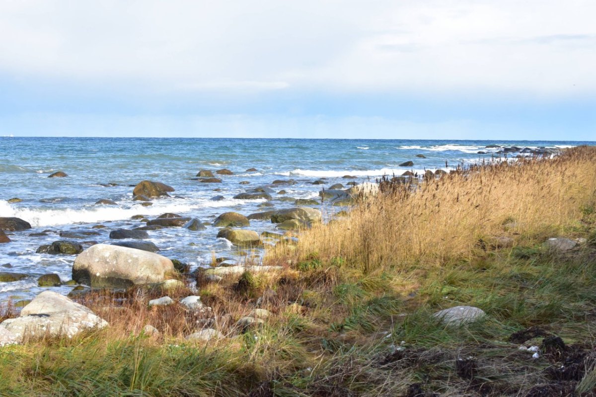 Urlaub an der Ostsee.jpg