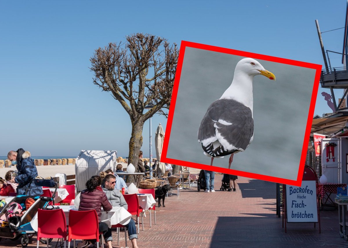 Urlaub an der Ostsee.jpg