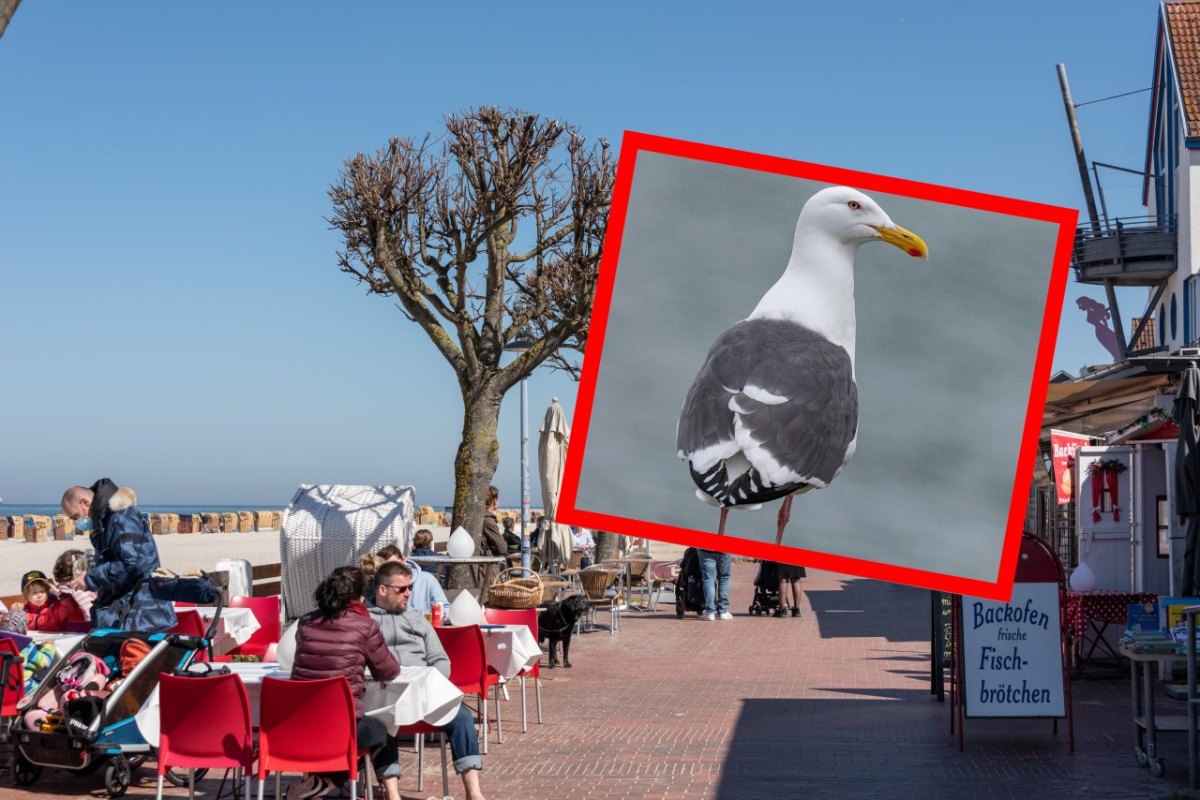 Urlaub an der Ostsee.jpg