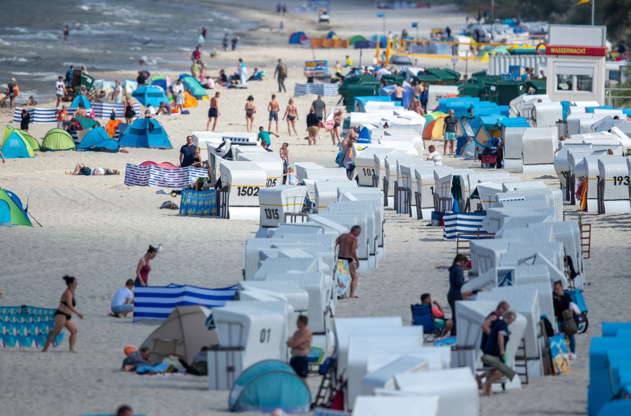 Den Urlaub an der Ostsee vermiest zurzeit eine fiese Insektenplage einigen Touristen auf einer beliebten Ferieninsel. (Symbolbild)