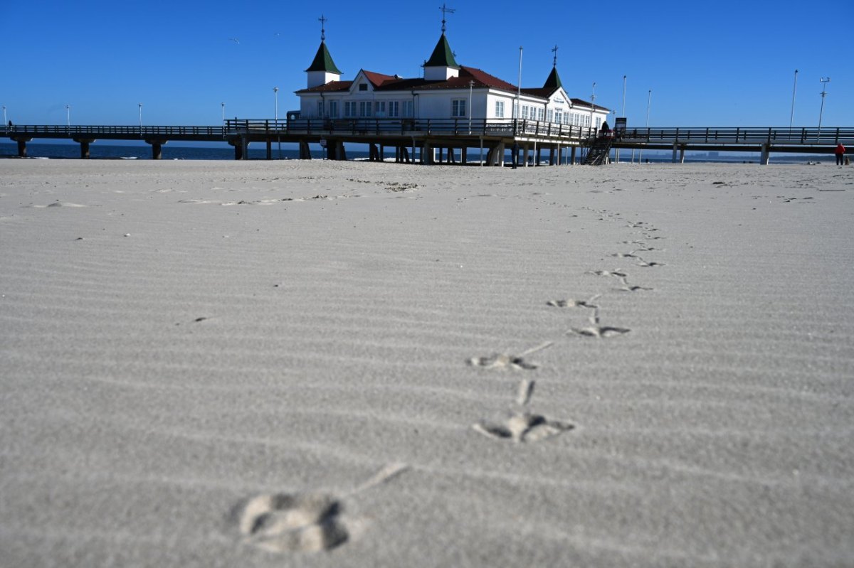 Usedom Urlaub Strand Muscheln Möwen Meer Ahlbeck Ostsee Facebook