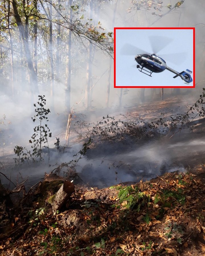 Waldbrand Bochum Feuerwehr.jpg