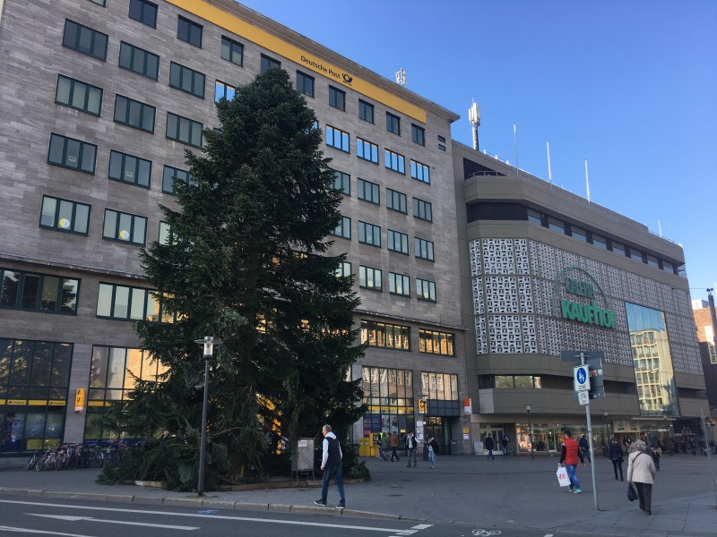 So schön sieht der Weihnachtsbaum am Tag aus!