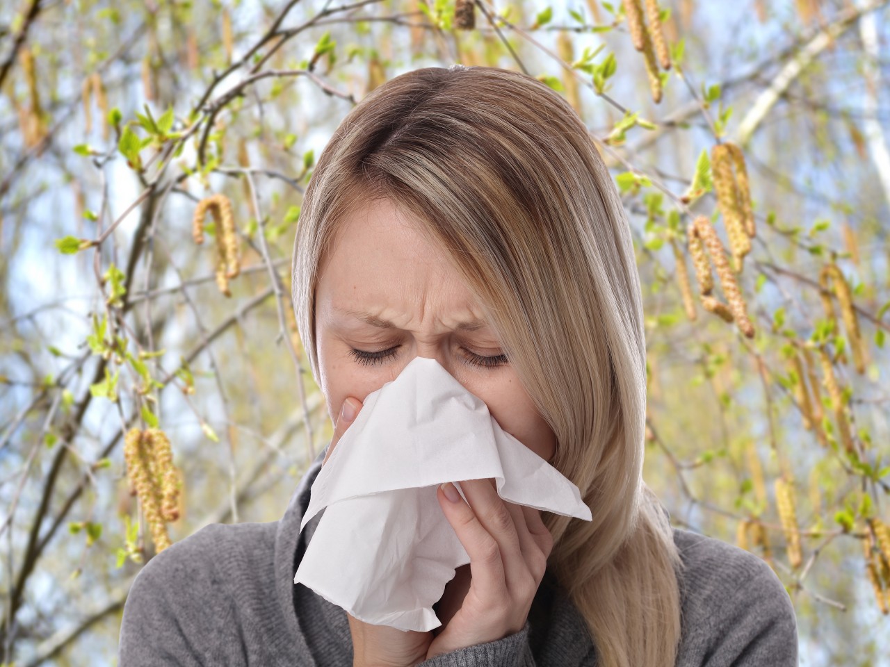 Wird das Wetter schöner, plagen Pollen die Allergiker. 