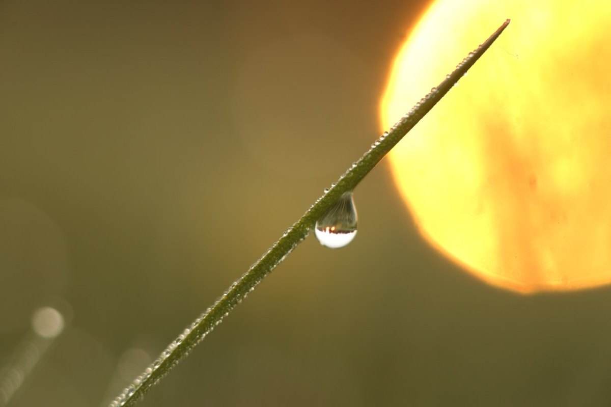 Wetter.jpg